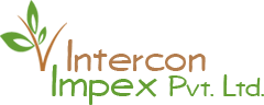 Intercon Impex | Dried Flower, Sola, Potpourri manufacturers & wholesalers