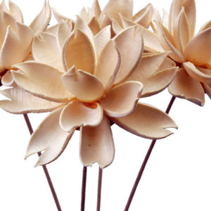 Chunkey Flower