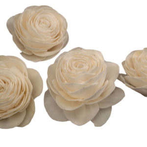 Sola Beuty Rose