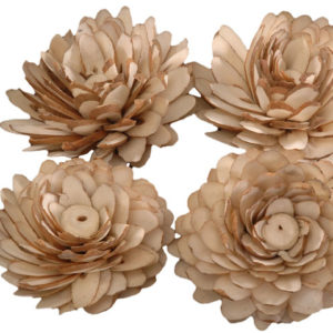 Sola Shalu Flower