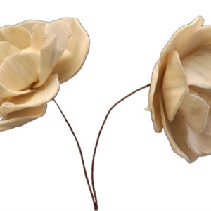 Snow Flower
