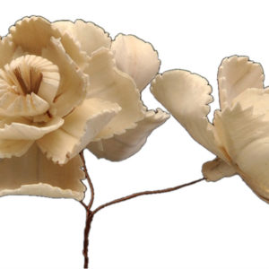 Snowzig Flower