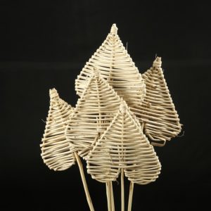 Lata Spade
