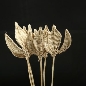 Lata Trishul
