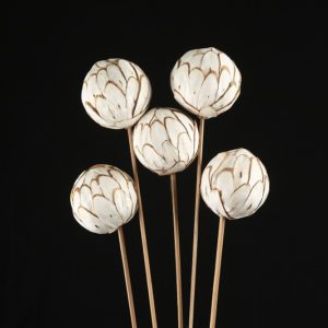 Sola Chips Ball