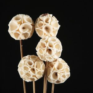Sola Crape Ball