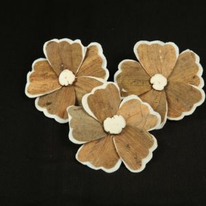 Sola Butterfly