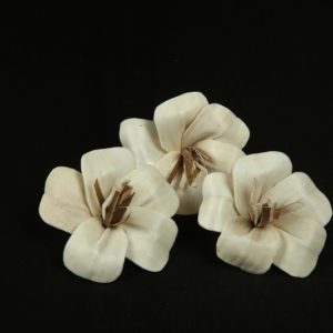 Sola Wood Rose