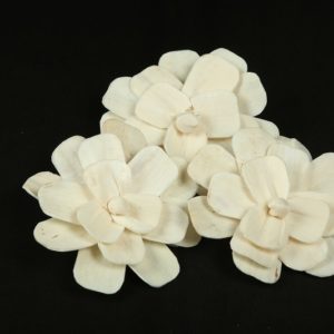 Sola Gong