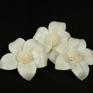 Sola Figmari Flowers