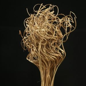 Palm Curly 60-65cm