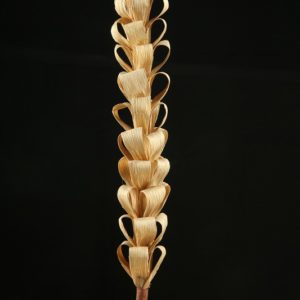 Maize Candle