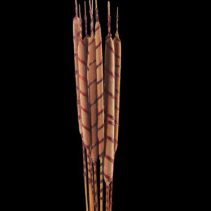 Reed Spadix with Raffia Spiral