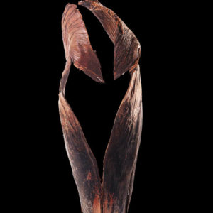 Palm Sing Head
