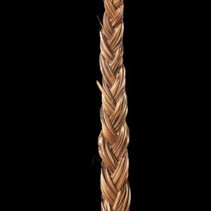 Palm Beni