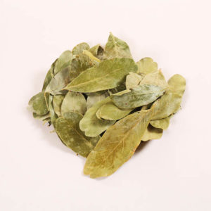 Amrita Leaves