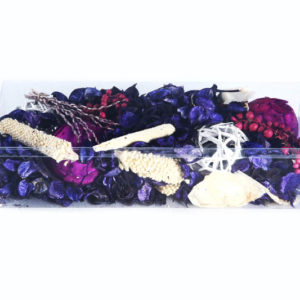 Potpourri In Acetate Box-2320