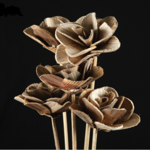 Betel Rose