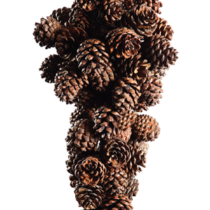Pine Cone Festoon 35cm