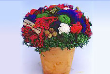 APPLE POT