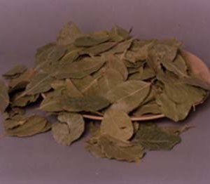 Albezia Leaves