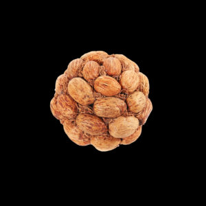 Amra Pod Ball