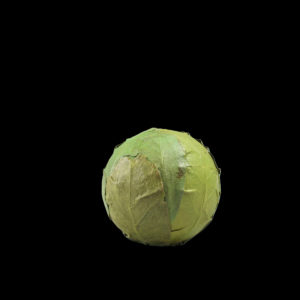 Amrita Leaves Ball