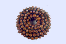 Andy Cane Wreath