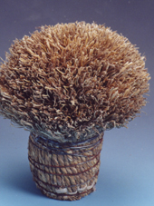 BABUI TREE