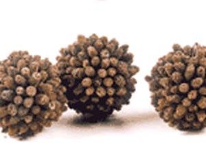 Birch Ballic Ball