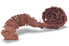 BROWN BELT
