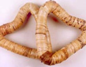 Banana Heart