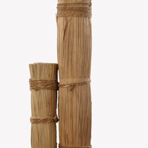 Bear Grass Bundle