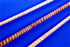 Bear Grass Stick