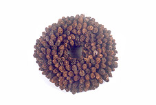 Birch Wreath