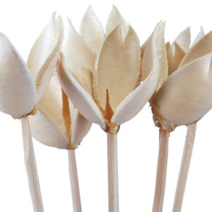 Cheer Flower