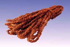 COCO ROPE