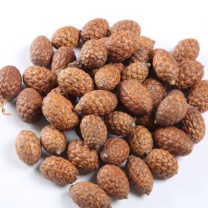 Cane Fruit