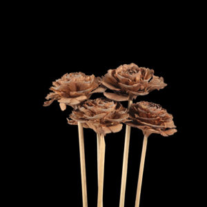 Ceder Rose