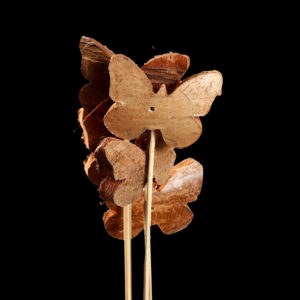 Coco Butterfly