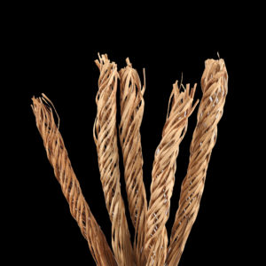 Coco Curly 14 Fingers