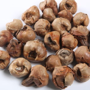 Coco Fruit
