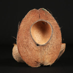 Coco Half