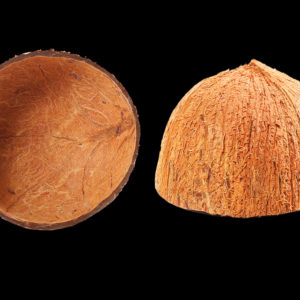 Coco Shell