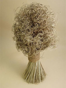 Curly Palm Bush
