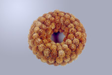 Daisy Wreath
