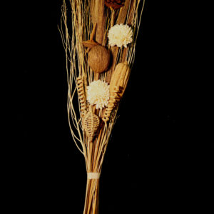 90cm Tall