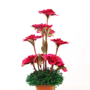 Dried Bouquet in Pot