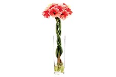 Dried Bouquets-0033