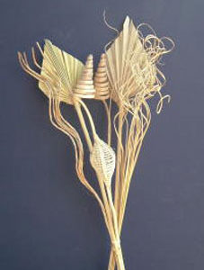 Exotic Bunch 7 pcs
